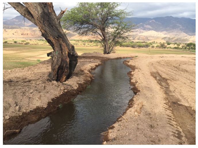 Bill and the gauchos redirect the water to irrigate the fields