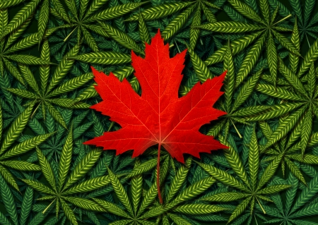 Canada cannabis law