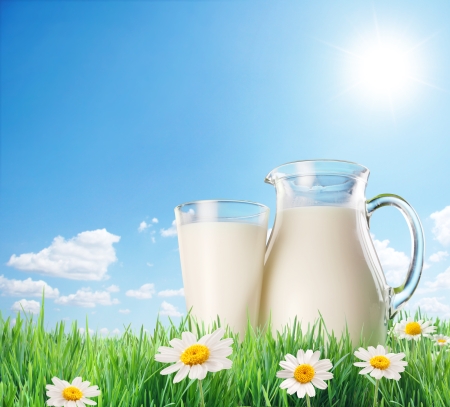 Synlait Milk share price