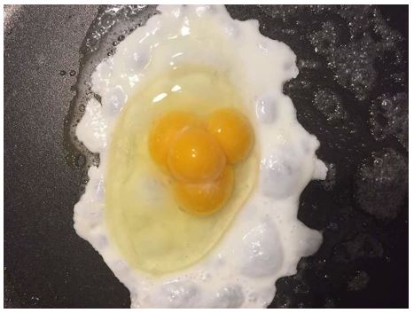 One Egg With Four Yolks | Source: Bored Panda