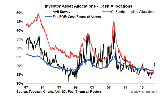 Investor Asset Allocations