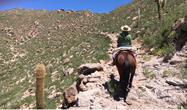 The riders (carefully) navigate the rocky pass